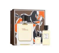Hermes Terre D'Hermes Eau de Toilette 100ml Spray Gift Set
