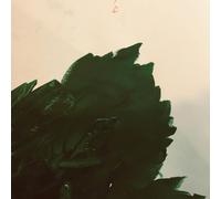 Hermione Johnson Tremble (CD) (US IMPORT)