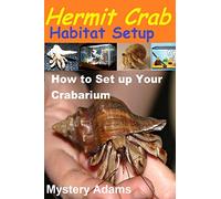Hermit Crab Habitat Setup: Hermit Crab care and Habitat Set-up