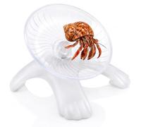 Hermit Crab Wheel Silent Running Exercise Wheel, Small Animal Wheels for Tank/Cage Accessories, 5 Inch Rotating Plastic Wheels for Dwarf Hamster Gerbil Mice Rat, White