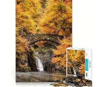 Hermitage Dunkeld 1000 Piece Jigsaw Puzzles for Teenagers Brain Think Snug Connection Real Challenge Christmas Idea (38x26cm)