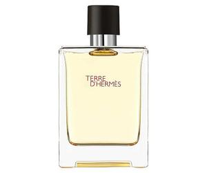 Herms Terre D'Herms Eau de Toilette 100ml
