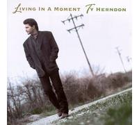 Herndon, Ty - Living in a Moment [CASSETTE]