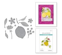 Hero Arts Citrus Spritz Etched Dies from The La Dolce Vita Collection