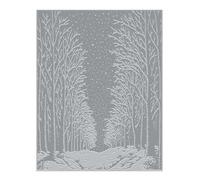 Hero Arts HP101 Snowy Night Letterpress and Foil Plate