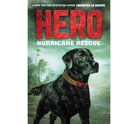 Hero: Hurricane Rescue: 2 (Hero, 2)