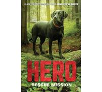 Hero: Rescue Mission: 3