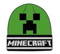 Heroes Inc Minecraft Creeper Face Beanie Hat