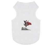 'Heroic Dog Skater Leap' Pet Dog/Cat T-Shirt (PT00130039)