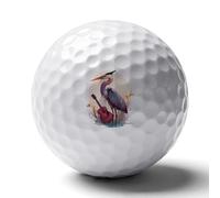 Heron And Guitar Custom Golf Ball Soft Practice Golf Balls Performance Distance And Speed for Indoor Outdoor