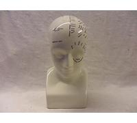 Heron Cross Pottery Small 23cm Fowler style Phrenology head