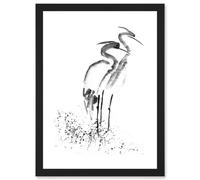Wee Blue Coo Heron Ink Drawing Black White Sketch Artwork Framed Wall Art Print A4