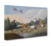 Herons And Ducks By Jan Van Kessel Canvas Print for Living Room Bedroom Home Office Décor, Wall Art Picture Ready to Hang, 30 x 20 Inch (76 x 50 cm)