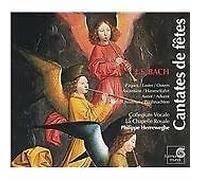 Herreweghe, Phillippe - Bach: Festival Cantatas /Herreweghe