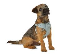 Herringbone Puppy Harness Blue Small - Luxurious Herringbone Fabric - Spot Clean Only - Easy to Wear, With Handy Snap Fastenings