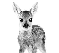 HERWS Big Poster Baby Animal Deer Canvas Art Print Wall Picture Black And White Animal Deer Canvas Poster Nursery Art Decor Home Living Bedroom Kitchen Home Decoration