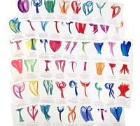 Herzmensch 52 Cards with Angels and Sayings for All Occasions 7 x 12 cm for Gift for Men and Women for Christmas, Birthday as Gift Cards