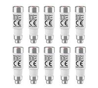 Heschen Ceramic Neozed Fuse Links, D0-Type Fuse Link, D01, 10A 400VAC, gL/gG Type, 10PCS