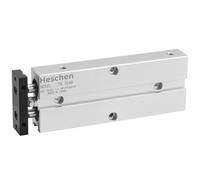 Heschen Double-Acting Pneumatic Air Cylinder, TN10-60, Bore 10mm, Stroke 60mm, Double-Rod Aluminum, with Magnet,for The Automatic Equipment