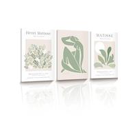 HesenDot Sage Matisse Wall Art,Green Framed Wall Art Set of 3,Minimalist Botanical Wall Decor,30x40cm Canvas Prints,Art Poster Decoration for Living Room Bedroom Bathroom Kitchen