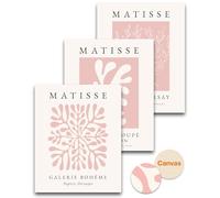 HesenDot Unframed Matisse Pink Wall Art,30x40CM Abstract Canvas Posters Wall Decor,Boho Botanical Prints,Minimalist Aesthetic Home Decoration for Living Room Bedroom Bathroom,Set of 3