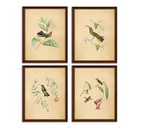 heshengzaixian Vintage Birds Botanical Canvas Wall art,Tropical Birds Flowers Plants Illustration Decor,Birds Art Print Poster, Gift for Bird Lovers,Set of 4 (8X10) Unframed