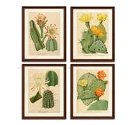 heshengzaixian Vintage Botanical Prints for Kitchen, Cactus Wall Art Poster, Cacti Desert Canvas Artwork Succulent Plants Painting Picture for Plant Lovers Home College, Set of 4-8x10 UNFRAMED