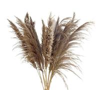 HESHUWEN Pampas Grass Large 47" Inch 10pcs Pampas Grass Tall Decor Dried Large Pompas Grass Home Room Floor Vase Decor Wedding Arrangement Pampas Grass Vase(Natural A)