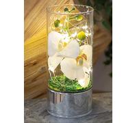 Hestia LED Light Up Glass Tube Vase with Artificial White Orchids White