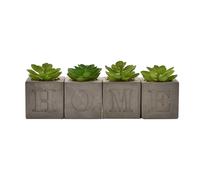 Hestia Set of 4 Faux Plants in a Cement Pot "Home " 6 x 6 cms