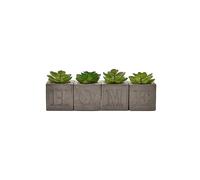 Hestia Set of 4 Faux Plants in a Home Cement Pot Grey