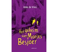 Het geheim van Mories Besjoer