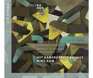 HET KAMERORKEST BRUG - TCHAIKOVSKY/DHAENESERENADE F - CD - M4z