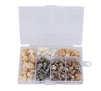 HETHLIF Snail Shells, DIY Conch Jewelry Craft Kit with Storage Box, Ideal For Bracelets, Necklaces, Anklets. For Different Occasions