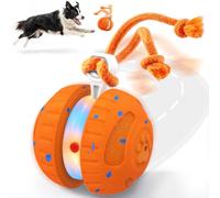 HETOO Dog Toys, Random Path Rolling Dog Ball with Rope | 2 Speed Modes, Motion-Activated, Pet-Safe ETPU Shell, Automatic Moving Toy for Small Medium Large Dogs