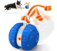 HETOO Dog Toys, Random Path Rolling Dog Ball with Rope | 2 Speed Modes, Motion-Activated, Pet-Safe ETPU Shell, Automatic Moving Toy for Small Medium Large Dogs