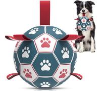 Hetoo Non-Destructive Dog Football Toy, Medium/Large Dog Ball with Pump (15 cm), Birthday Gift