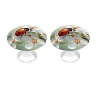 HETPLSD 2 Pack Stainless Steel Cabinet Knobs, Butterfly Ladybug Flower Drawer Pull Single Hole with Screws, Durable Cabinet Hardware for Kitchen, Dressers, 1.1 Inch Diameter