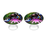 HETPLSD 2 Pack Stainless Steel Cabinet Knobs, Colorful Butterfly Drawer Pull Single Hole with Screws, Durable Cabinet Hardware for Kitchen, Dressers, 1.1 Inch Diameter