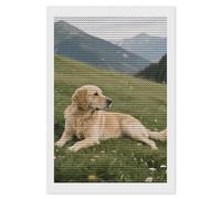 HETPLSD Dog on The Prairie Diamond Painting Kits for Adults, Full Drill Diamond Dots Painting, DIY 5D Round Gem Art Kits for Gift Home Wall Decor, 8"x12"