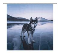 HETPLSD Husky Dog on A Frozen Lake Shower Curtain with 12 Hooks, Rust Proof Grommets, Waterproof Heavy Duty Polyester Bath Curtains Fabric Shower Curtain Liner for Bath Tub, Machine Washable