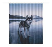 HETPLSD Husky Dog on A Frozen Lake Shower Curtain with 12 Hooks, Rust Proof Grommets, Waterproof Heavy Duty Polyester Bath Curtains Fabric Shower Curtain Liner for Bath Tub, Machine Washable