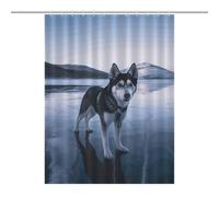 HETPLSD Husky Dog on A Frozen Lake Shower Curtain with 12 Hooks, Rust Proof Grommets, Waterproof Heavy Duty Polyester Bath Curtains Fabric Shower Curtain Liner for Bath Tub, Machine Washable