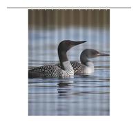 HETPLSD Loon Birds Shower Curtain with 12 Hooks, Rust Proof Grommets, Waterproof Heavy Duty Polyester Bath Curtains Fabric Shower Curtain Liner for Bath Tub, Machine Washable