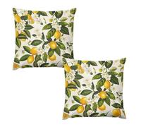 HETVBNS 2 Pack Throw Pillow Covers 16 "x16 Double-Sided Soft Plush Pillowcase Decorative Square Pillows Case Lemons and Flowers Pillow Cover for Living Room, Bedroom, Sofa, Car