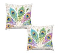 HETVBNS 2 Pack Throw Pillow Covers 16 "x16 Double-Sided Soft Plush Pillowcase Decorative Square Pillows Case Peacock Feather Pillow Cover for Living Room, Bedroom, Sofa, Car