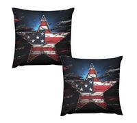 HETVBNS 2 Pack Throw Pillow Covers 16 "x16 Double-Sided Soft Plush Pillowcase Decorative Square Pillows Case Flag Stars Pillow Cover for Living Room, Bedroom, Sofa, Car
