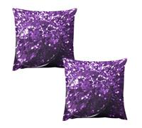 HETVBNS 2 Pack Throw Pillow Covers 16 "x16 Double-Sided Soft Plush Pillowcase Decorative Square Pillows Case Beautiful Purple Glitter Pillow Cover for Living Room, Bedroom, Sofa, Car