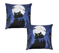 HETVBNS 2 Pack Throw Pillow Covers 18 "x18 Double-Sided Soft Plush Pillowcase Decorative Square Pillows Case Halloween Black Cat Pillow Cover for Living Room, Bedroom, Sofa, Car