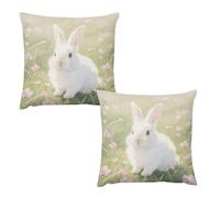 HETVBNS 2 Pack Throw Pillow Covers 18 "x18 Double-Sided Soft Plush Pillowcase Decorative Square Pillows Case Easter Rabbit Pillow Cover for Living Room, Bedroom, Sofa, Car